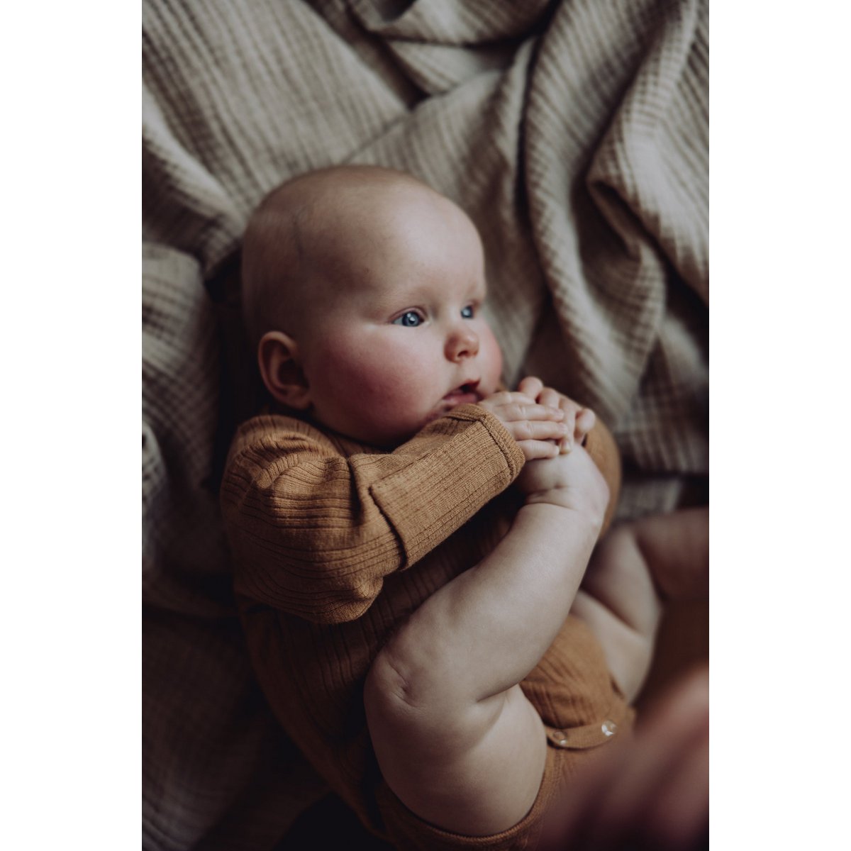 Baby Merino Rib Long-Sleeve Bodysuit – Fawn